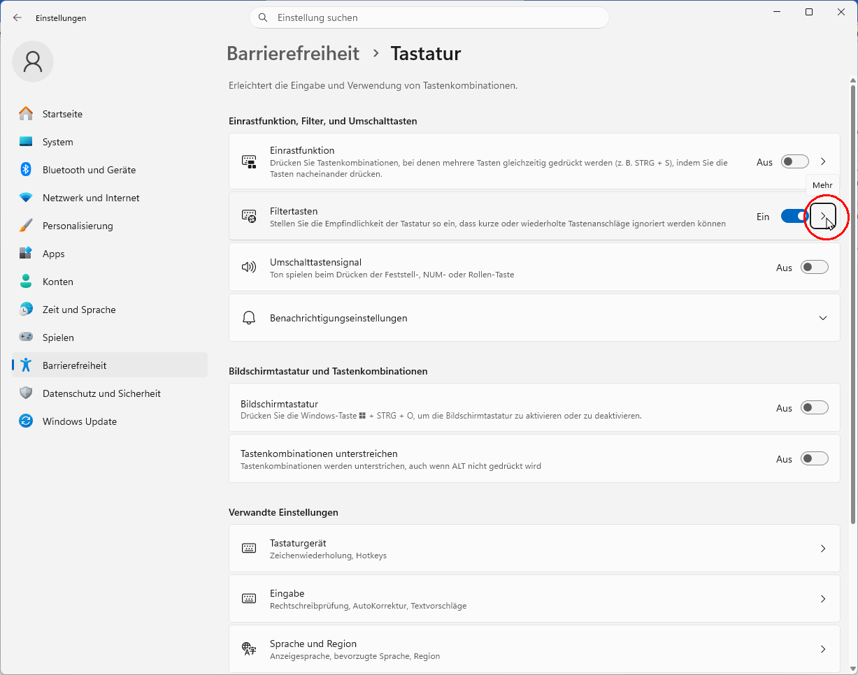 Bildschirmfoto Windows 11: Einstellungen → Barrierefreiheit → Interaktion: Tastatur → Filtertasten