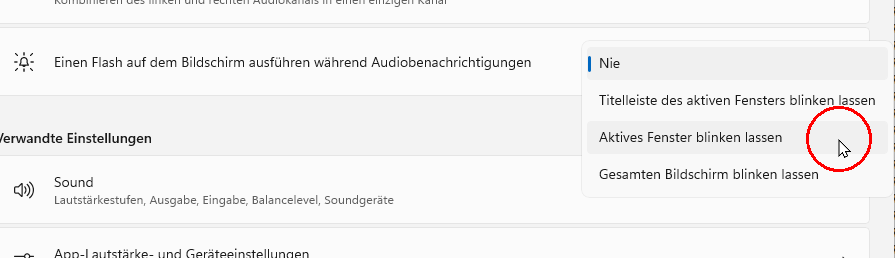 Optionen zu: Einen Flash auf dem Bildschirm ausführen während Audiobenachrichtigungen (Nie; Titelleiste des aktiven Fensters blinken lassen; Aktives Fenster blinken lassen; Gesamten Bildschirm blinken lassen)